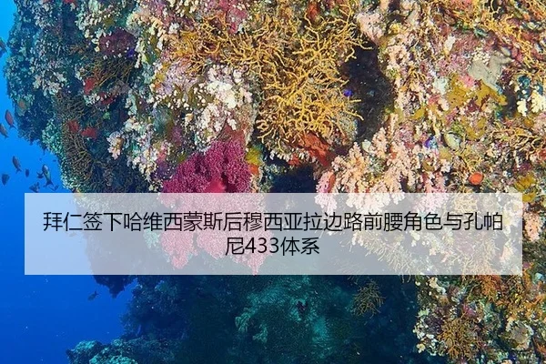 拜仁签下哈维西蒙斯后穆西亚拉边路前腰角色与孔帕尼433体系